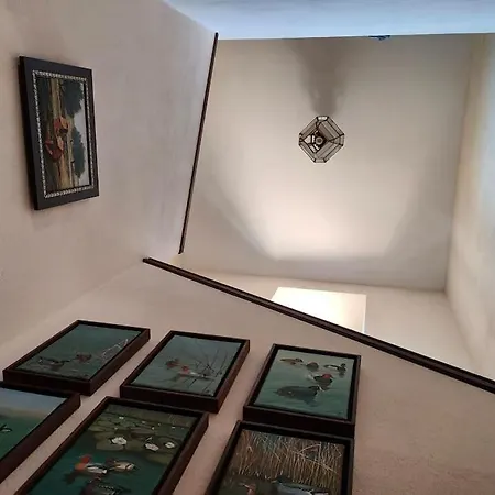 Holiday home - Cortijo El Palomar Alcantara (Cadiz)
