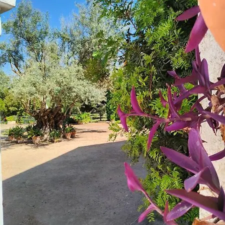 Holiday home - Cortijo El Palomar *