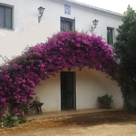 Holiday home - Cortijo El Palomar *