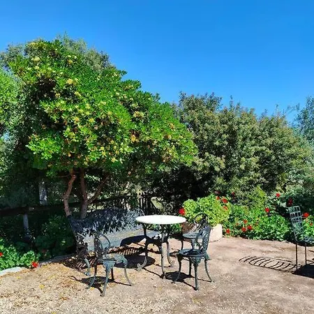 Holiday home - Cortijo El Palomar Alcantara (Cadiz)